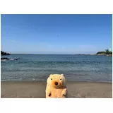 日記画像