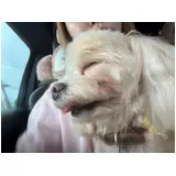 日記画像