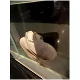日記画像