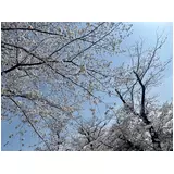 日記画像