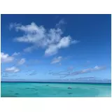 日記画像