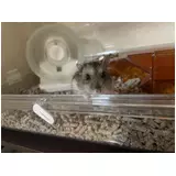 日記画像