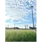 日記画像