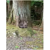 日記画像