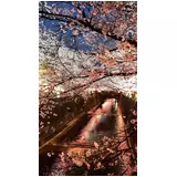 日記画像