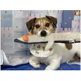 日記画像