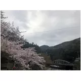 日記画像