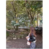 日記画像