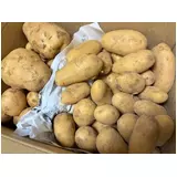 日記画像