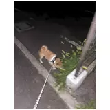 日記画像