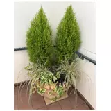 日記画像