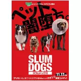 日記画像