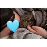 日記画像