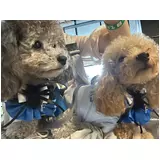 日記画像