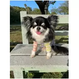 日記画像