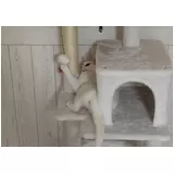 日記画像