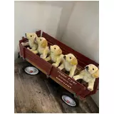 日記画像