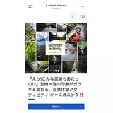 日記画像