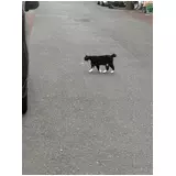 日記画像