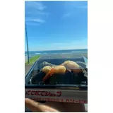 日記画像
