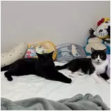 日記画像