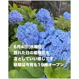 日記画像