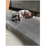 日記画像