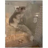 日記画像