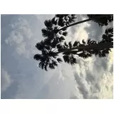 日記画像
