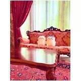日記画像