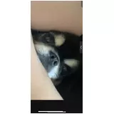 日記画像