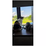 日記画像