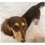 日記画像