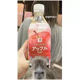 日記画像