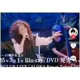日記画像