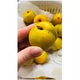 日記画像
