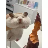 日記画像