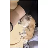 日記画像