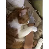 日記画像