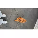 日記画像