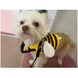 日記画像