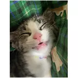 日記画像