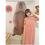 日記画像