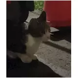 日記画像