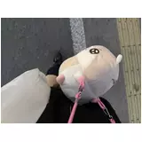 日記画像