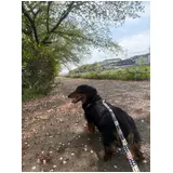日記画像