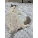 日記画像
