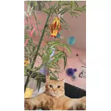 日記画像