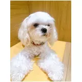 日記画像
