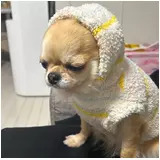 日記画像